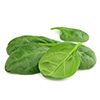 spinach rich with calcium