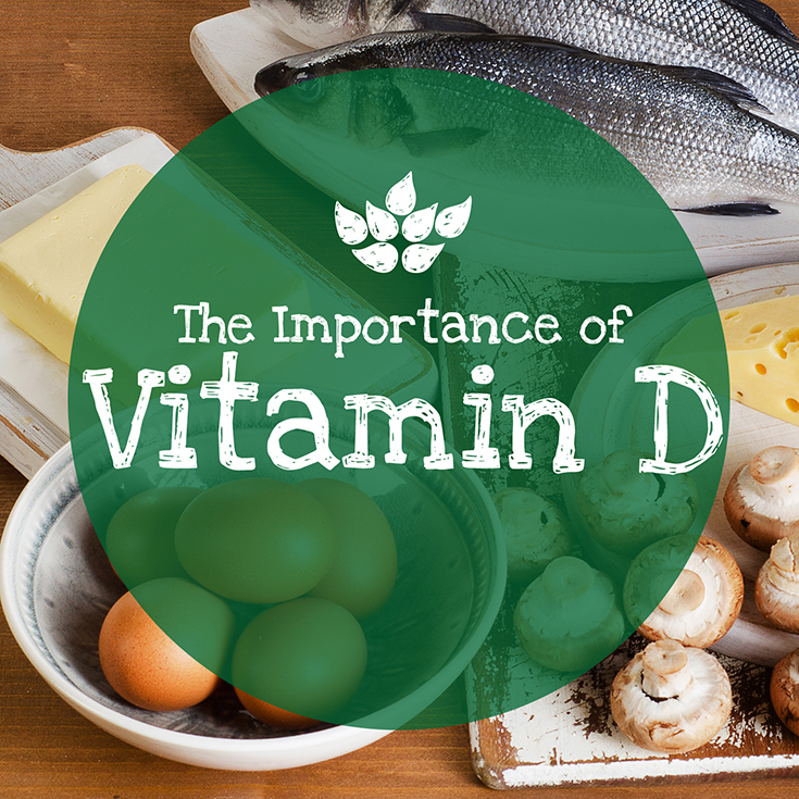 test-The Importance of Vitamin D   How to Get It in Your Diet