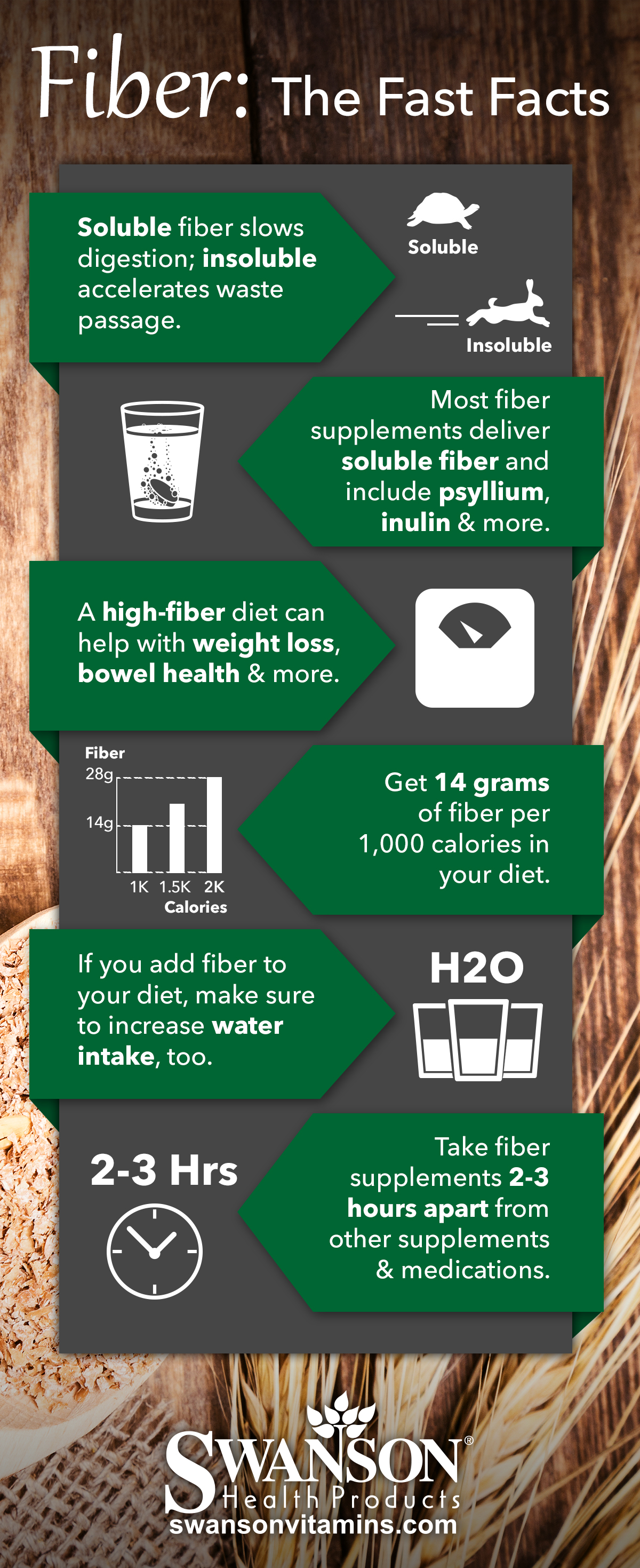 Fiber Supplement Infographic: Nutrition, Dosage and Benefits