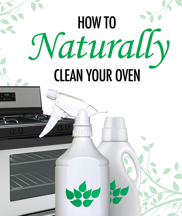 test-Still Cleaning with Toxic Oven Cleaners? Try the Natural Way!