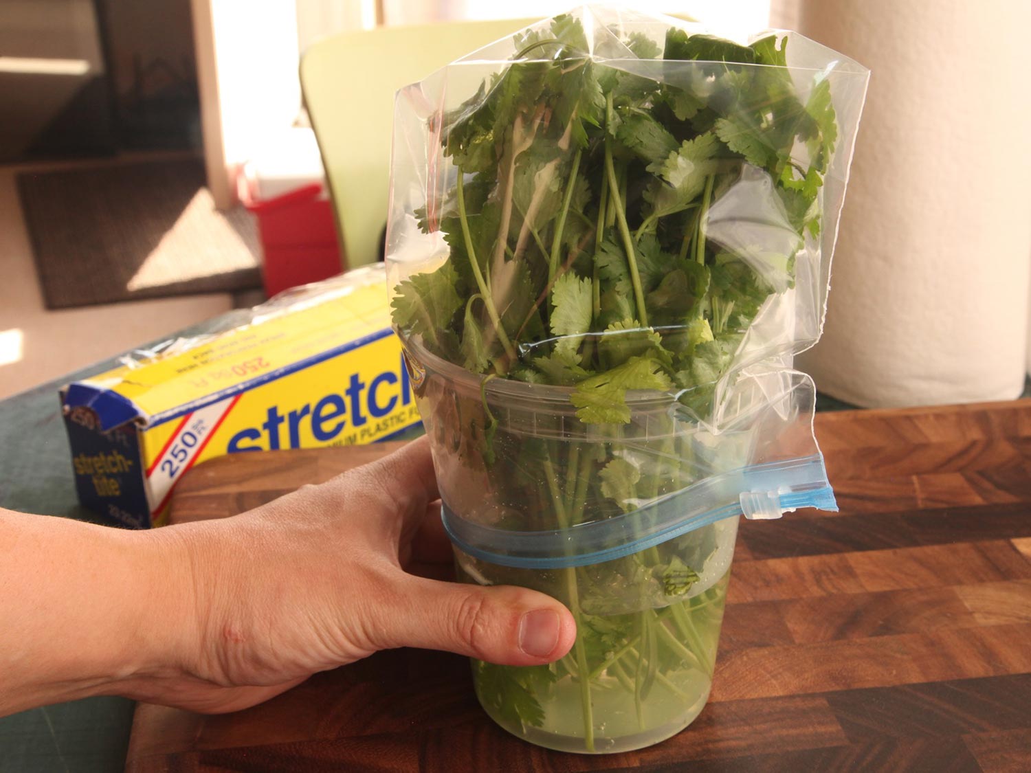 Storing fresh herbs in water and covered with a baggie.