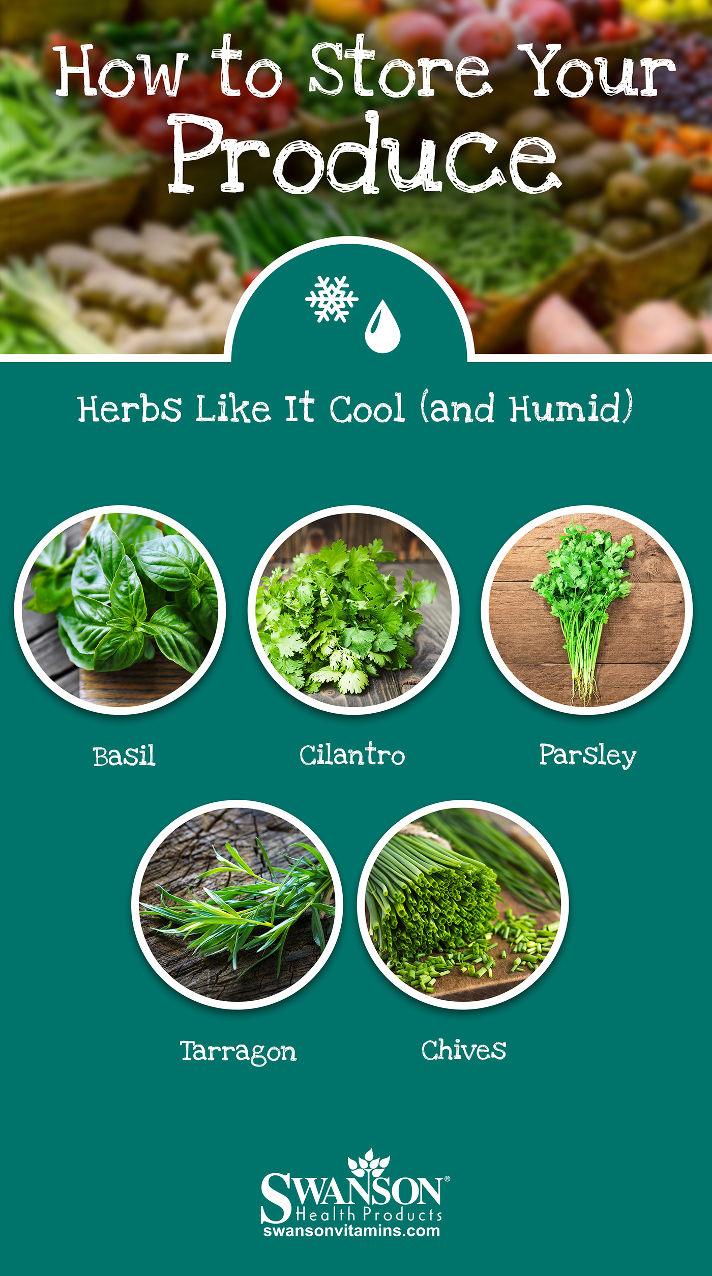Storing Fresh Herbs: Keep it Cool & Humid
