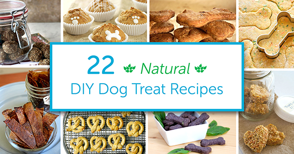 test-Skip the Toxic Ingredients with These 22 DIY Natural Dog Treats