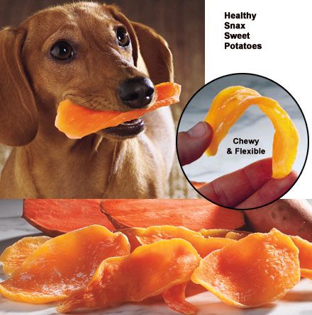 Sweet Potato Dog Chews