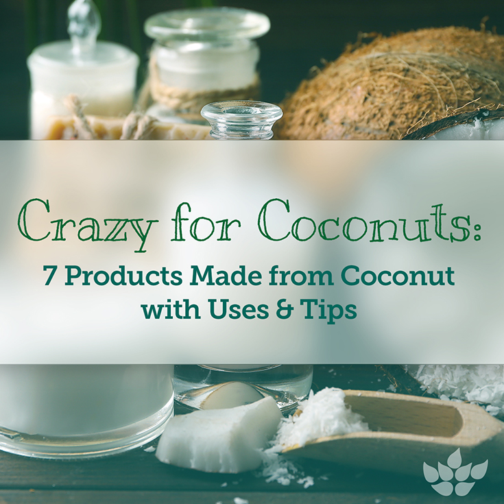 Top 7 Health Products Made from Coconut with Uses  &  Tips