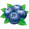 blueberries rank 20 in our top 25 list of most hydrating foods