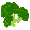 broccoli ranks 16 in our top 25 list of most hydrating foods