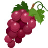 grapes are just over 80% water content