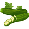 zucchini high water content food