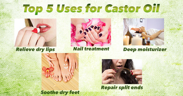 test-Top 5 Uses for Castor Oil  &  Castor Oil Safety