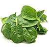 spinach magnesium content