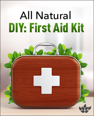 test-DIY: All Natural First Aid Kit