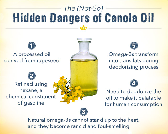 canonla oil processing facts