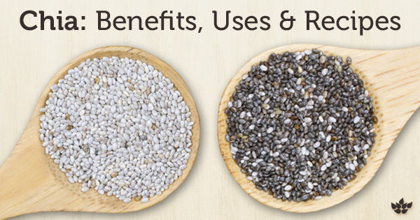 Everything You Need to Know About Chia Seeds (with Recipes!)