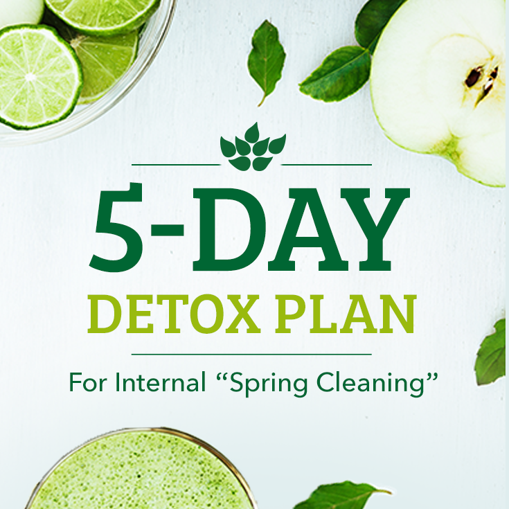 test-5-Day Detox Plan for Internal 