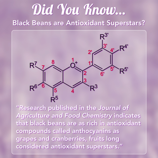 Black beans antioxidant superstars