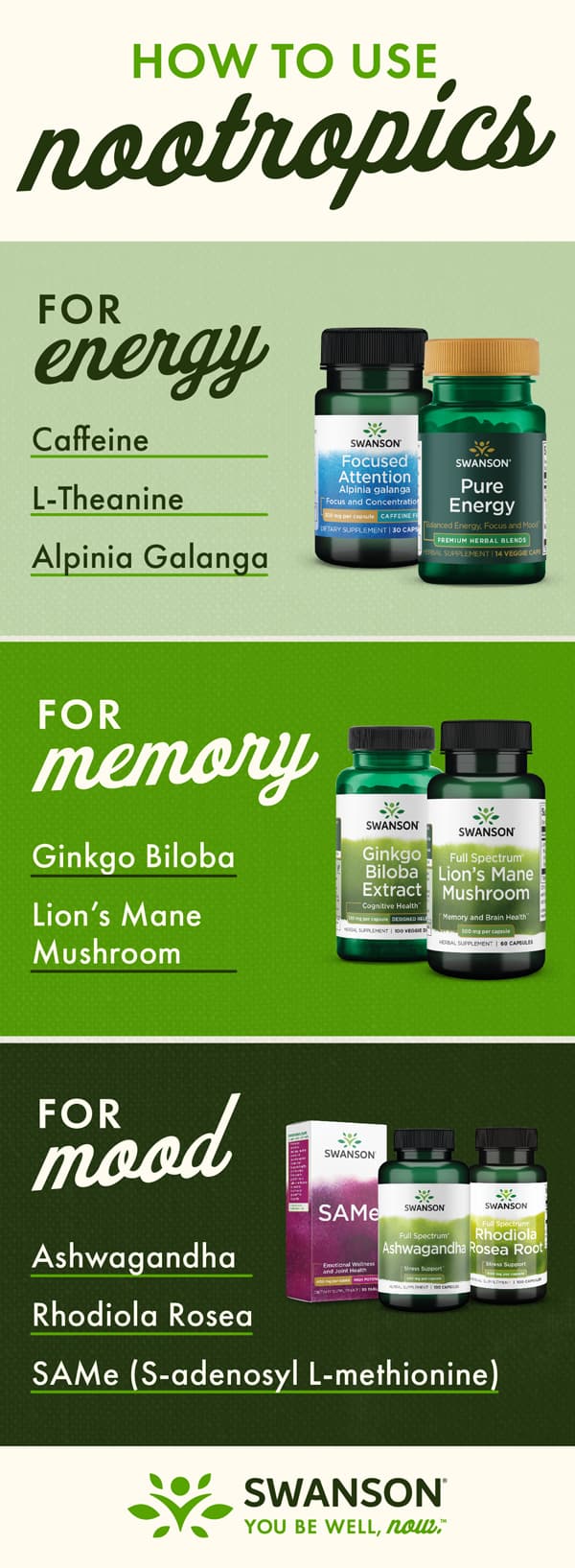 Best nootropics for anxiousness, memory, energy and mood