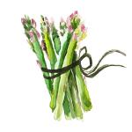 asparagus is heart healthy