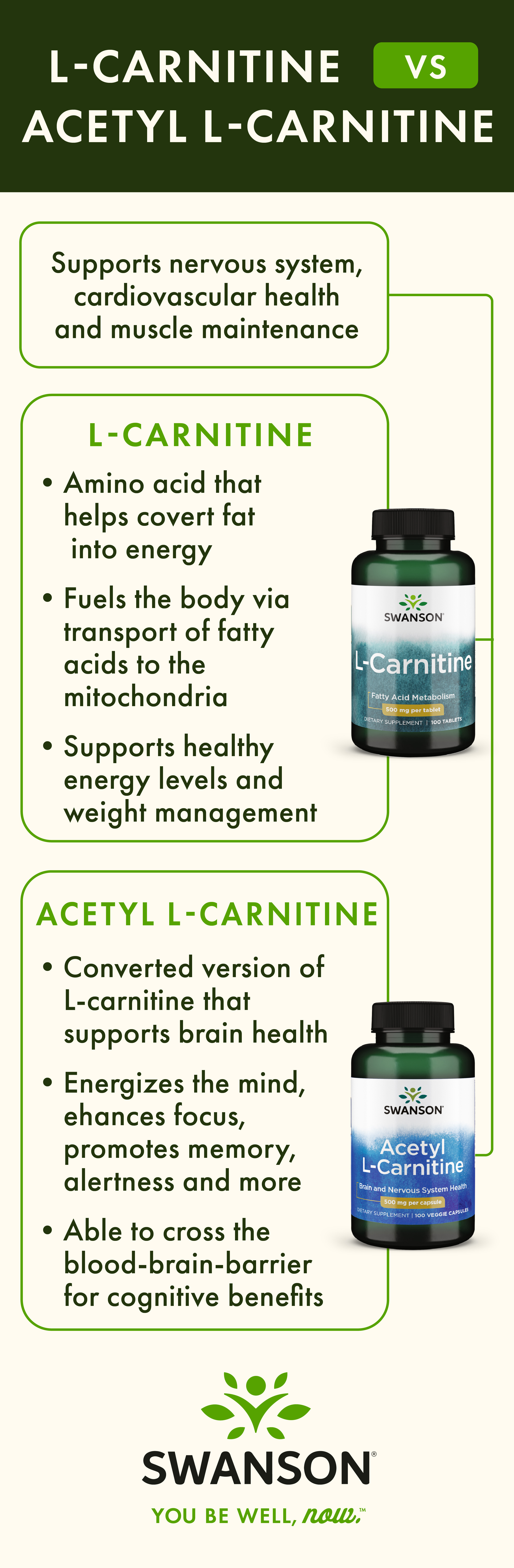 L-Carnitine Vs Acetyl L-Carnitine Infographic by Swanson Health